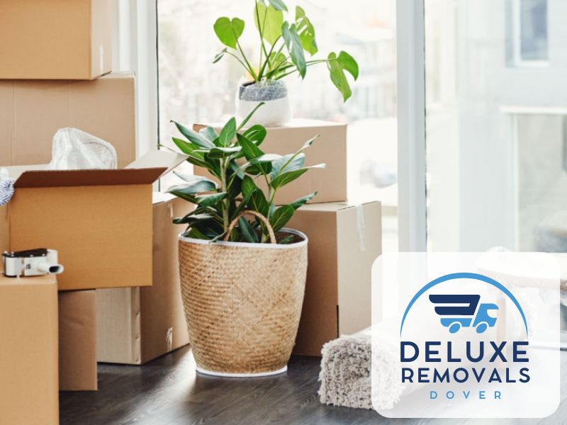 Kent House clearance Dover CT16